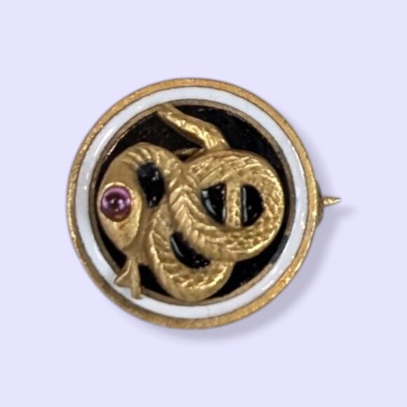 V. Sigma Nu Fraternity Pledge Pin - Picture 1 of 6